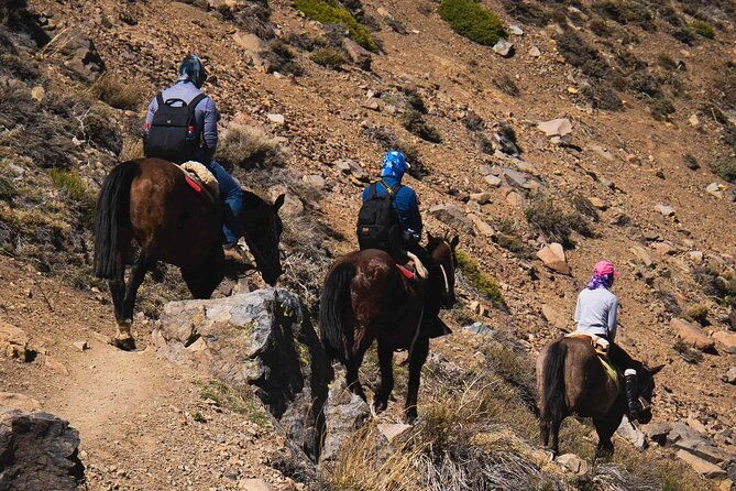 ride-in-the-semi-private-andes-with-roast