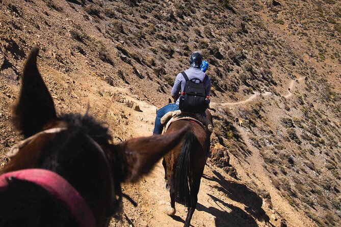 ride-in-the-semi-private-andes-with-roast