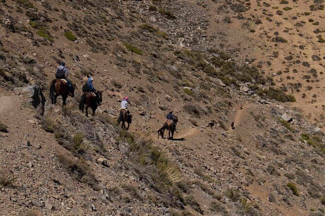 ride-in-the-semi-private-andes-with-roast
