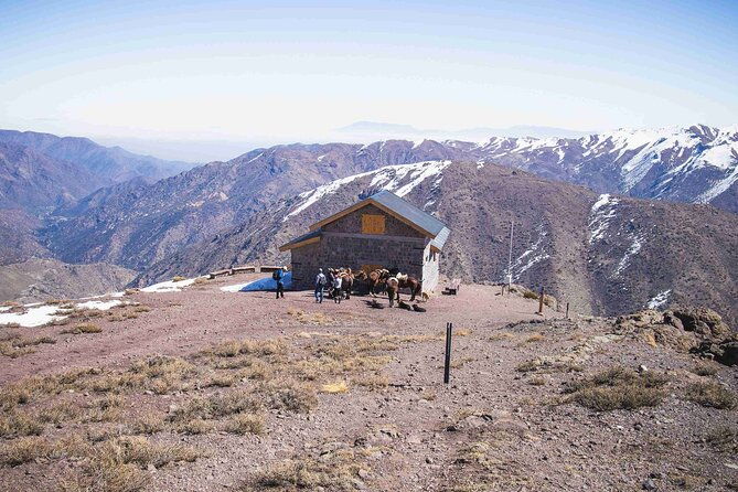 ride-in-the-semi-private-andes-with-roast