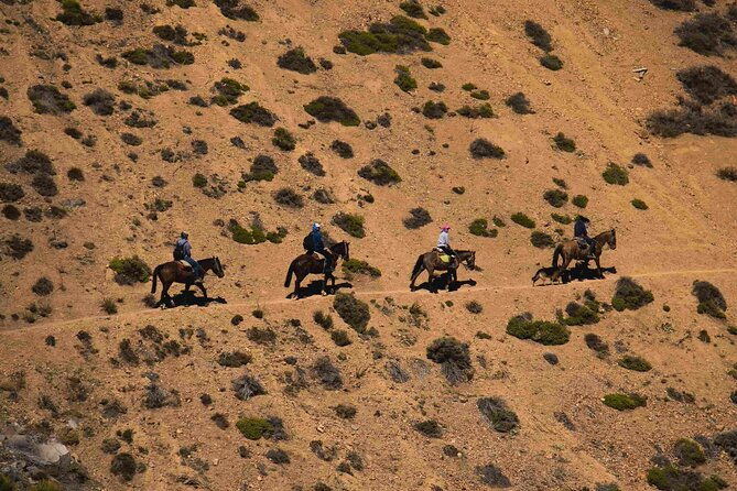 ride-in-the-semi-private-andes-with-roast