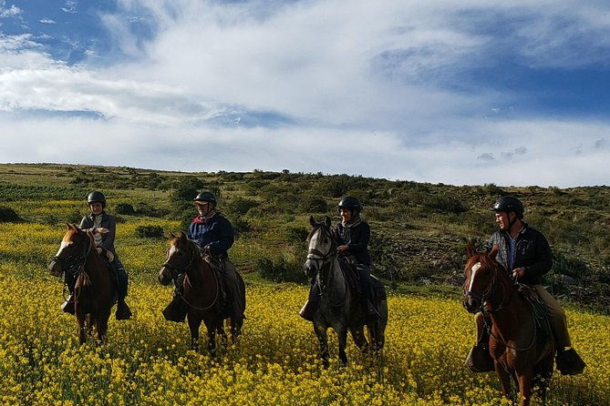 ride-peruvian-paso-horses-in-cusco