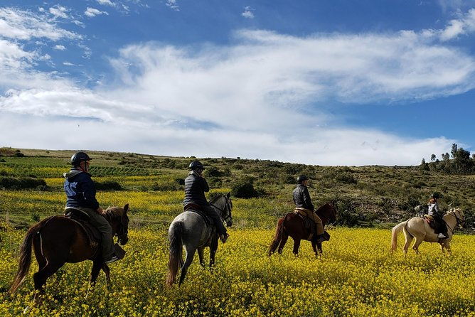 ride-peruvian-paso-horses-in-cusco
