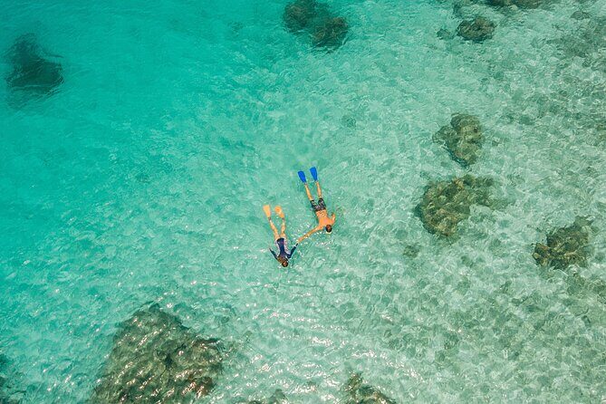 Ride & Slide by South Sea Cats - Half Day Snorkelling Trip - The Sum Up