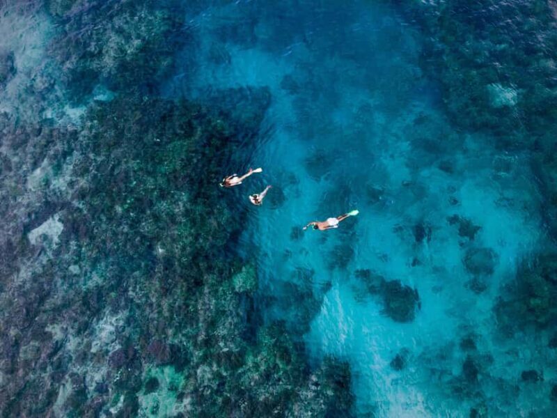 Ride & Slide by South Sea Cats - Half Day Snorkelling Trip - A Detailed Look at the Ride & Slide Experience