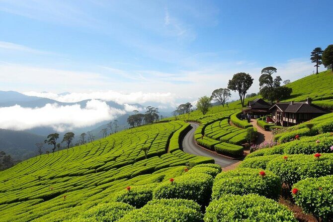 Ride Sri Lanka: Discover the Ancient Kingdom 12 Day Tour - A Complete Overview of the 12-Day Motorcycle Journey