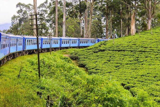 Ride Sri Lanka: Discover the Ancient Kingdom 12 Day Tour - FAQ