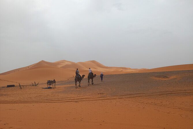 Ride the Camels for Sunset in Merzouga Dunes - The Authentic Experience from Review Insights