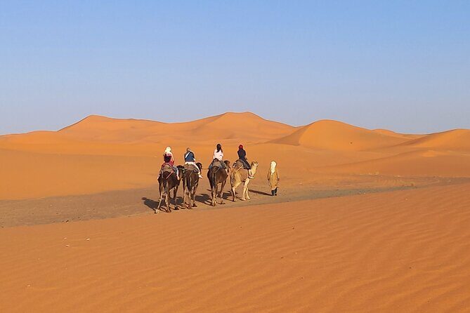 Ride the Camels for Sunset in Merzouga Dunes - The Sum Up