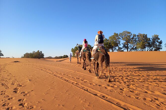 Ride the Camels for Sunset in Merzouga Dunes - FAQ