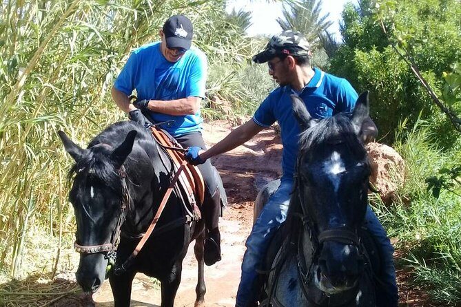 Ride the cast of famous Hollywood movies on set in their natural environment! - Practical Details and Booking Tips