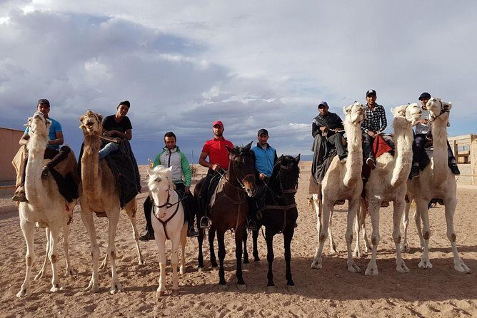 Ride the cast of famous Hollywood movies on set in their natural environment! - Who Should Consider This Tour?