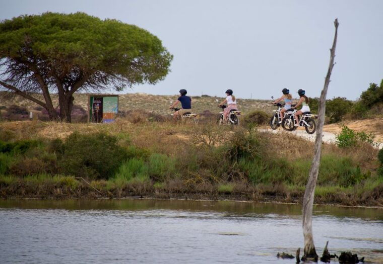 ride-the-day-away-easy-affordable-e-motor-bike-rentals