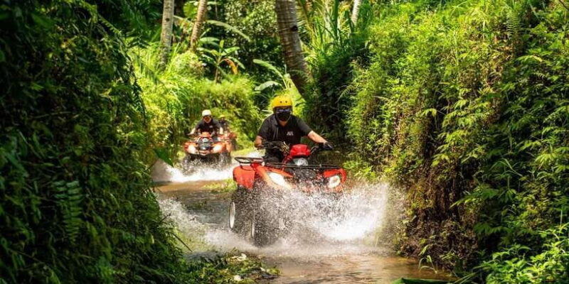 ride-the-wild-bali-atv-expedition-jungle-safari-adventure