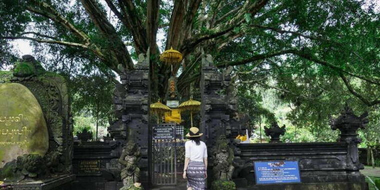 ride-the-wild-bali-atv-expedition-jungle-safari-adventure