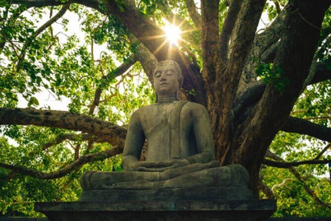 Ride Through Ruins: Anuradhapura Day Tour by Tuk Tuk - Transport and logistics