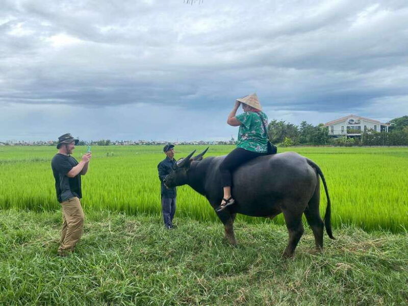 riding-buffalo-and-basket-boat-hoi-an-private-bike-tour