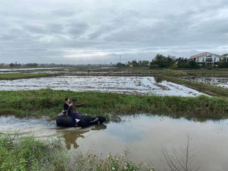 riding-buffalo-and-basket-boat-hoi-an-private-bike-tour