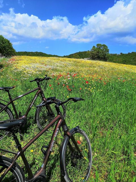 riding-to-alberobello-and-countryside-with-e-bike