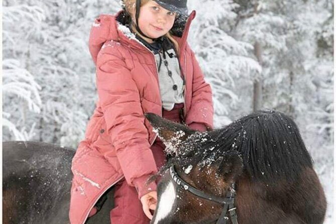 Riding Tour with Finnhorses at Santa Claus Village - An In-Depth Look at the Tour Experience