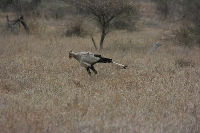 Rietvlei Nature Reserve half-day tour from Pretoria, every TUESDAY - The Location: A Close Escape from Pretoria