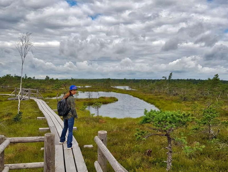 Riga: Best of Kemeri National Park In One Day - The Sum Up: Who Will Love This Tour?