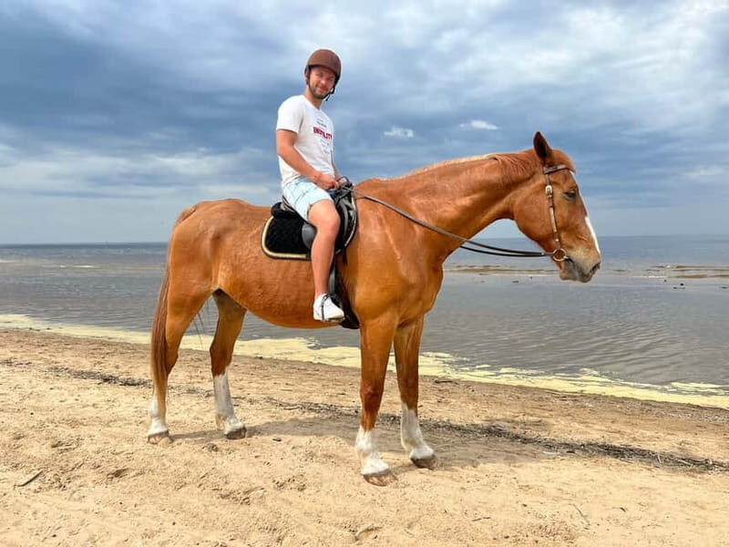 Riga Horse Riding tour along the Beach - Riga Horse Riding Tour Along the Beach: An Authentic Nordic Coastal Experience