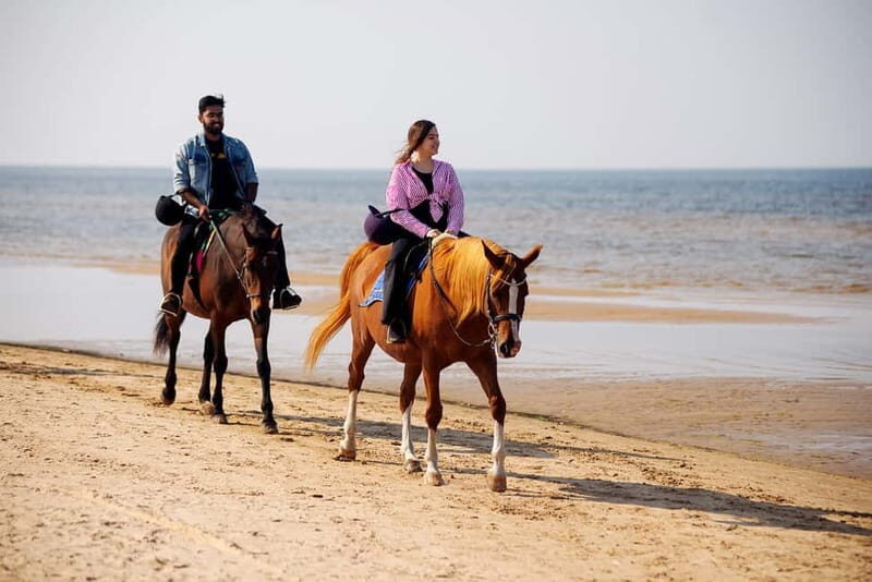 Riga Horse Riding tour along the Beach - Who Should Consider This Tour?