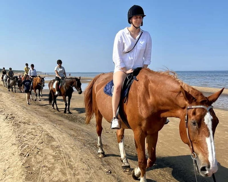 Riga Horse Riding tour along the Beach - The Sum Up: A Scenic Ride for Nature, Horse, and Sea Lovers