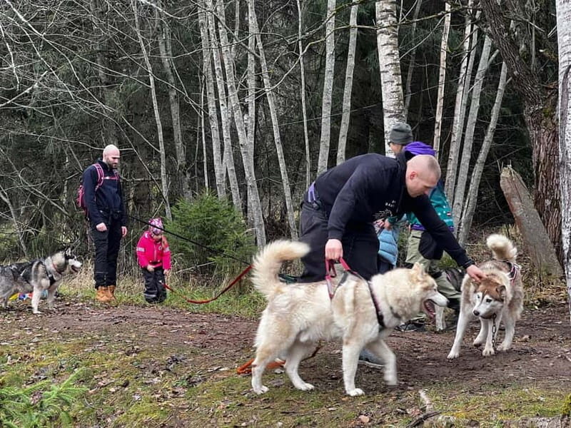 Riga: Husky Hike in the Nature Trail - Exploring the Experience: What to Expect