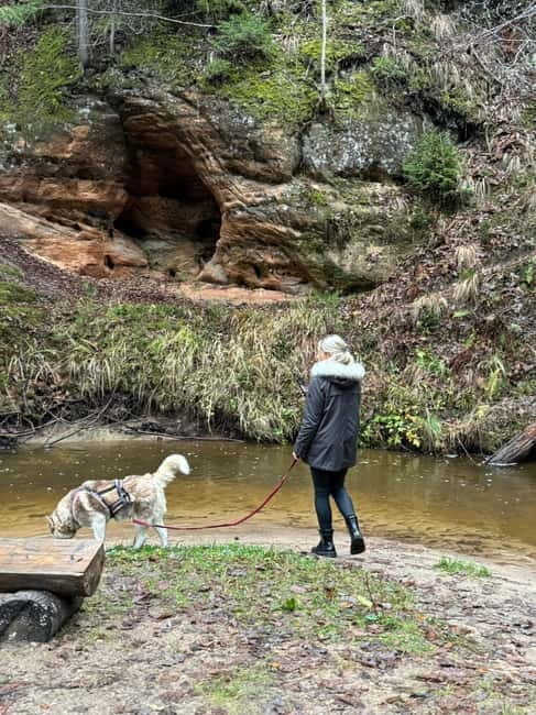 Riga: Husky Hike in the Nature Trail - Final Thoughts