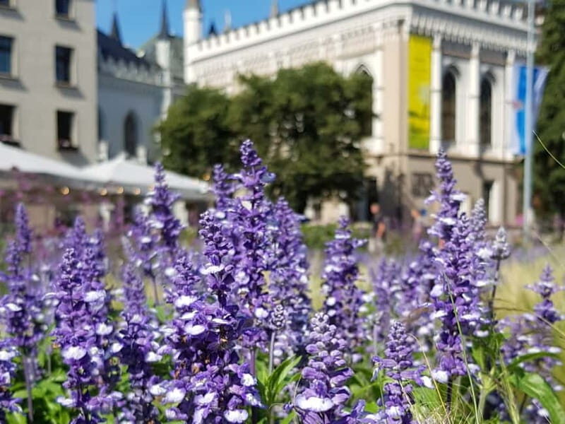 Riga: Private City Tour by car (incl. Old Town) - Discovering Riga: The Perfect Blend of Old and New