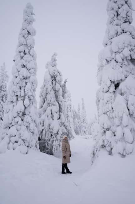 Riisitunturi National Park Private Photoshoot & Hiking - Key Points