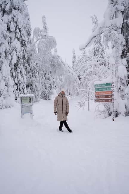 Riisitunturi National Park Private Photoshoot & Hiking - What’s Included and Why It Matters