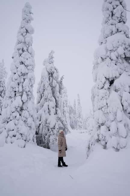 Riisitunturi National Park Private Photoshoot & Hiking - Final Thoughts