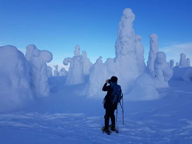 Riisitunturi National Park Snowshoe Adventure - Setting out from Ruka or Kuusamo: Convenience and Comfort