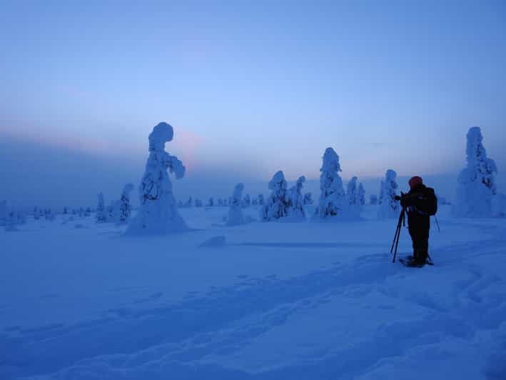Riisitunturi National Park Snowshoe Adventure - The Snowshoeing Experience: What You’ll Do