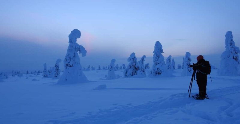 riisitunturi-national-park-snowshoe-experience-2