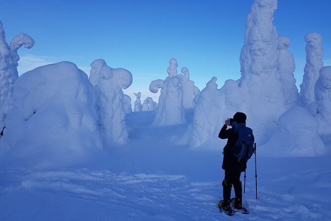 riisitunturi-national-park-snowshoe-experience