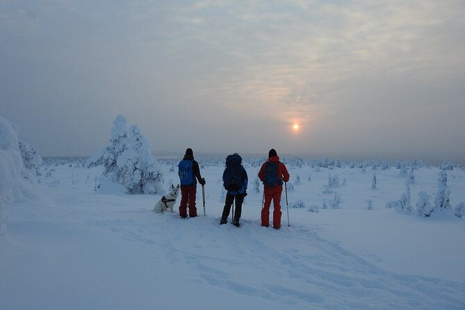riisitunturi-national-park-snowshoe-experience