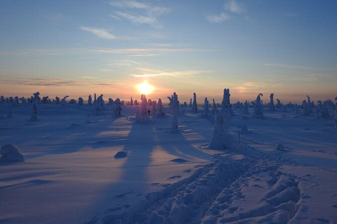 riisitunturi-national-park-snowshoe-experience