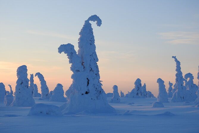 riisitunturi-national-park-snowshoe-experience