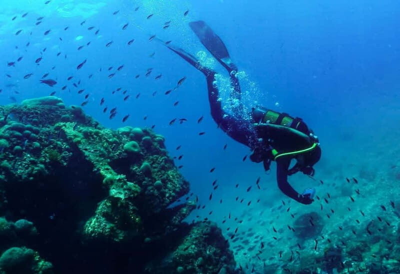 Rijeka Croatia: Discover with us the wonderful sea of Croatia! - The Real Experience: What Travelers Say