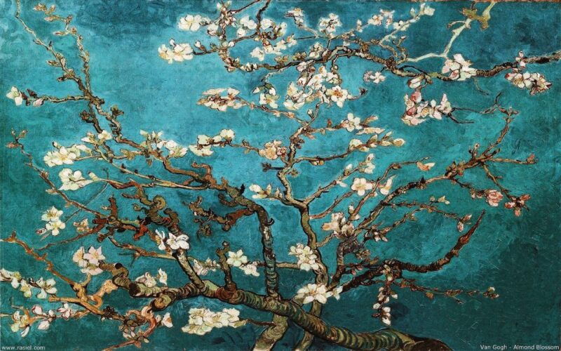 rijksmuseum-van-gogh-museum-timed-entrance-guided-tour