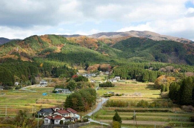 Rikuzen Takata Gold Bus Tour Public - The Sum Up