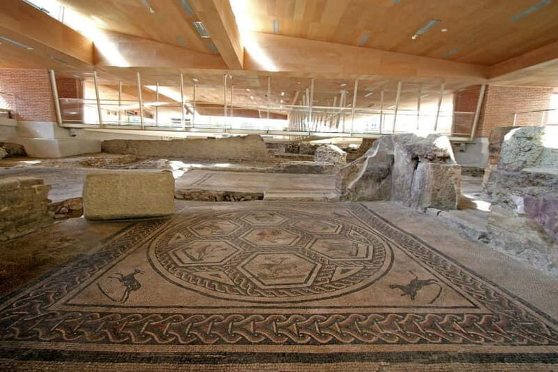 Rimini: Domus del Chirurgo and City Museum Entry Ticket - Key Points