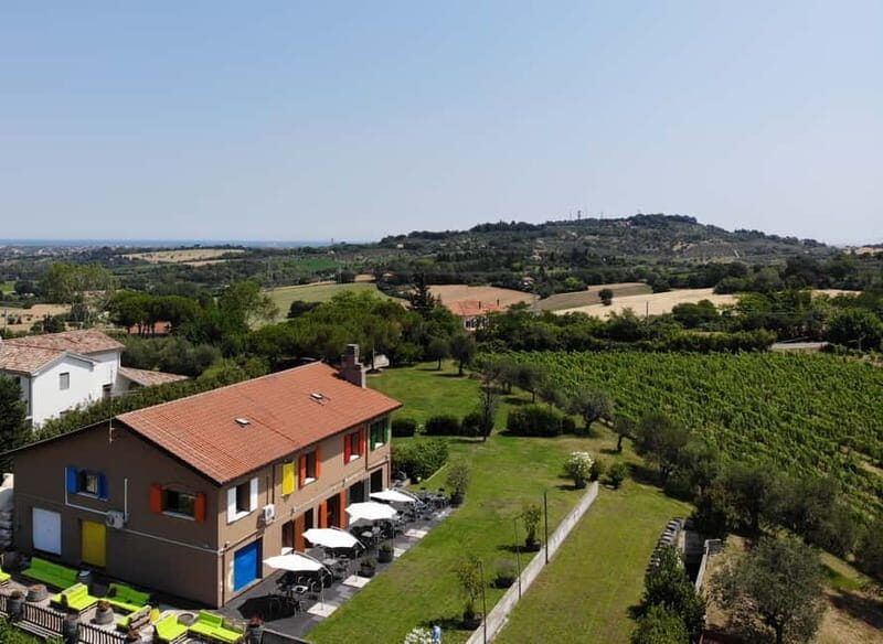 Rimini: San Valentino DOC Wine Tastings - The Wines and Tasting Experience