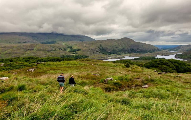 Ring of Beara: Private Tour from Killarney - The Sum Up