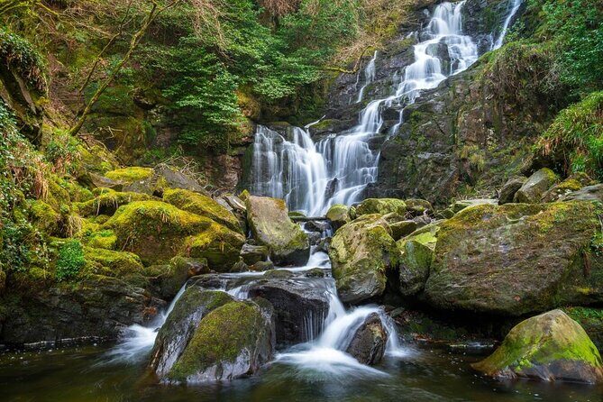 Ring of Kerry Day Tour from Killarney: Including Killarney National Park - What You Can Expect from the Tour