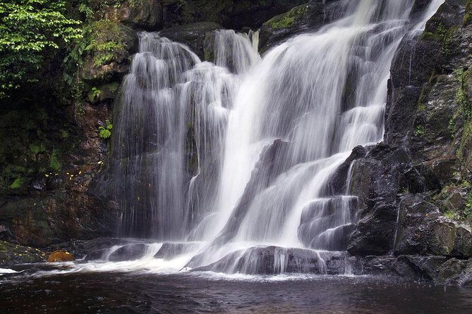 ring-of-kerry-day-tour-from-limerick-including-killarney-national-park-2